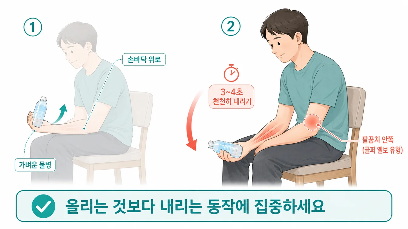 손목 컬(손바닥 위로) 운동 — 손바닥을 위로 두고 손목을 굽혔다 천천히 내리는 동작 안내