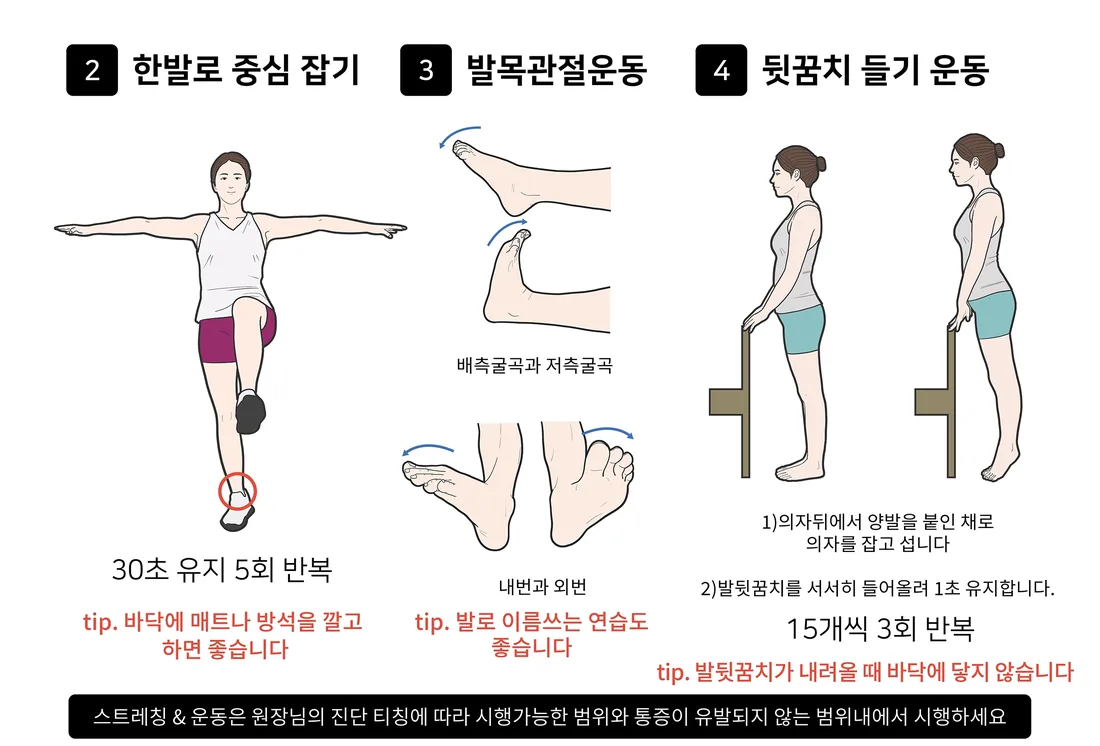 발목 회복기에 참고할 수 있는 균형·관절·근력 운동 동작 일반 안내 일러스트