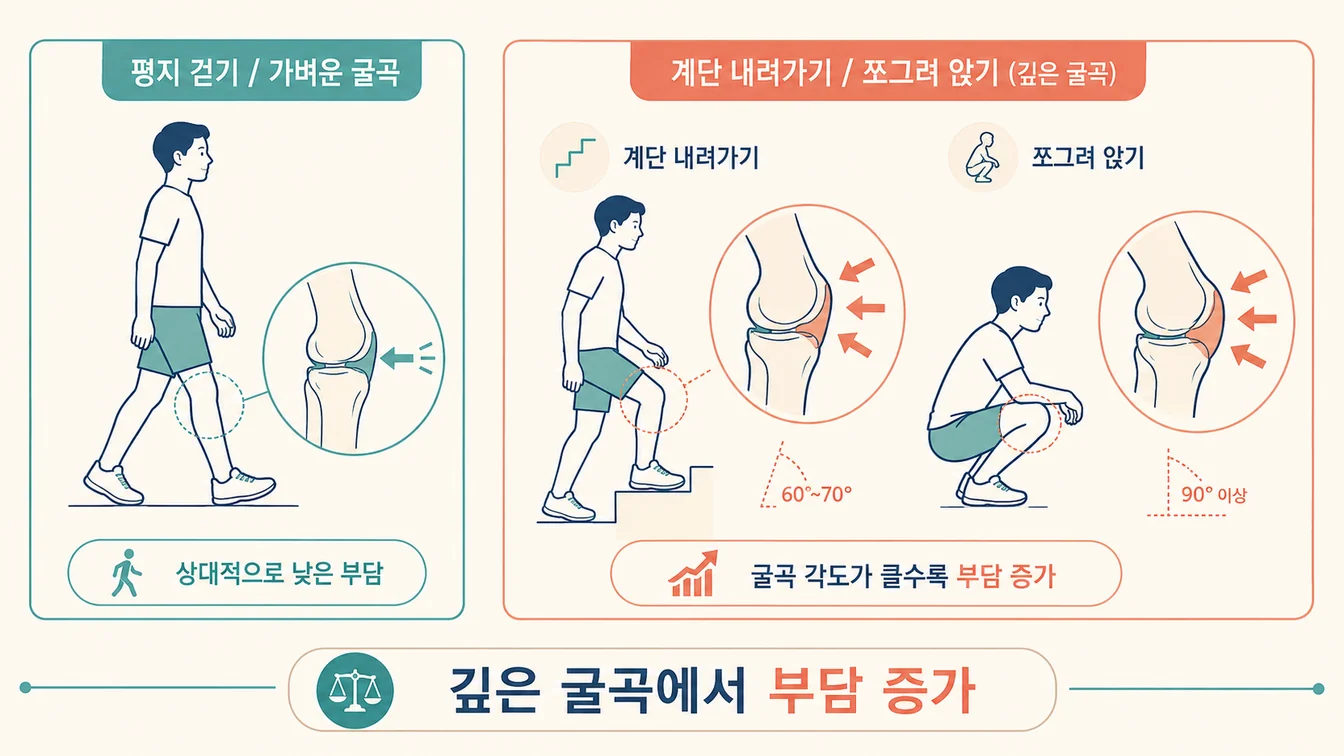평지 걷기와 계단 내려가기·쪼그려 앉기의 무릎 굴곡 부하 비교 안내