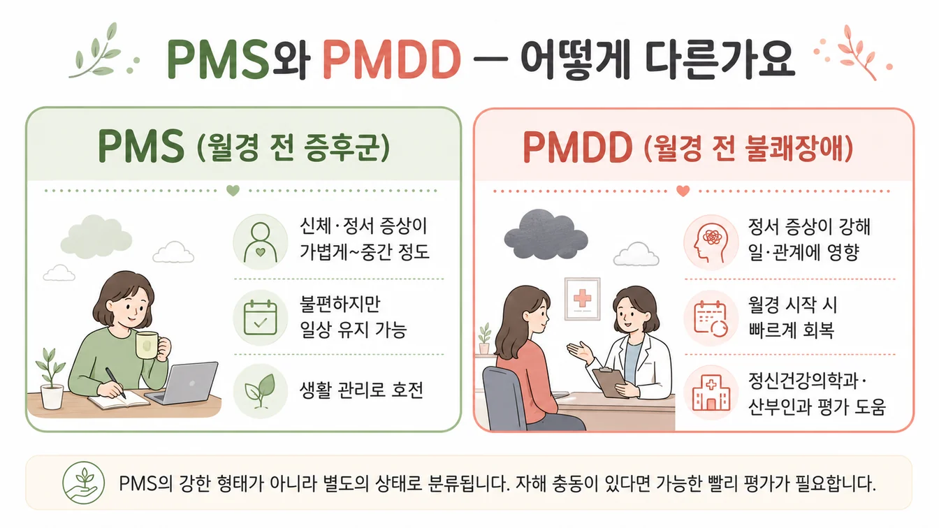 PMS와 PMDD의 차이 — 정서 증상의 강도와 일상 기능 저하 정도를 비교한 안내