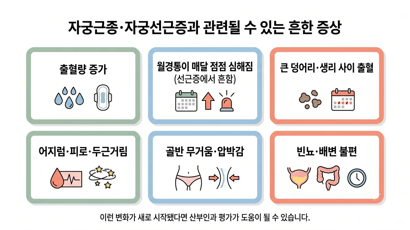 자궁근종·자궁선근증과 관련될 수 있는 흔한 증상 6가지 안내