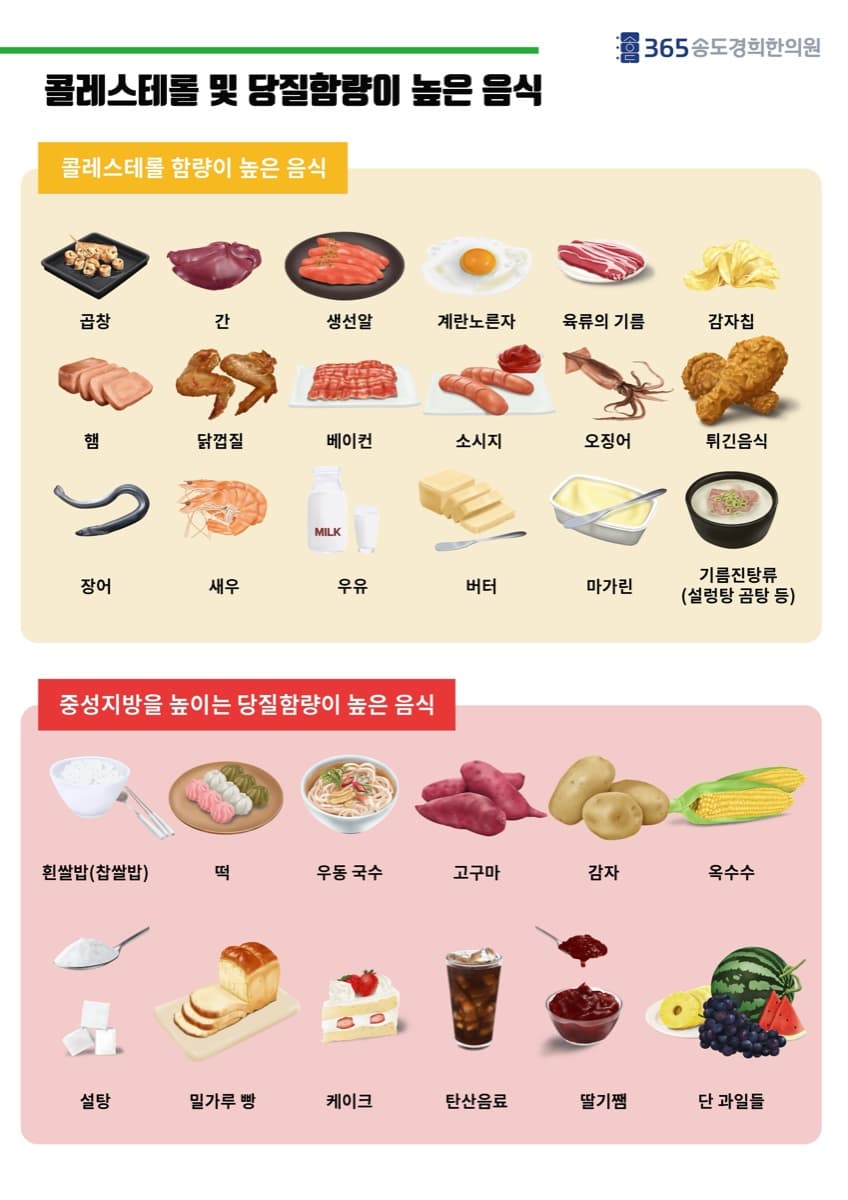 콜레스테롤·당질 식품 안내 자료