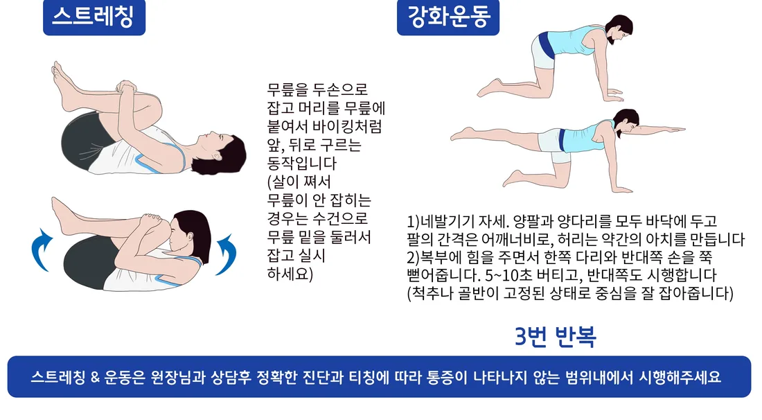 척추기립근 주변 참고 운동 동작 예시 일반 안내 일러스트