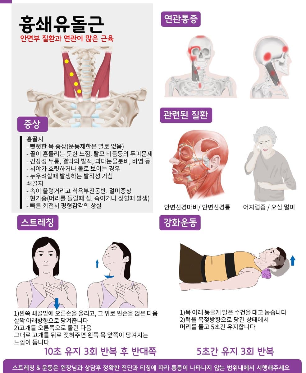 흉쇄유돌근 위치와 관련 안내 자료
