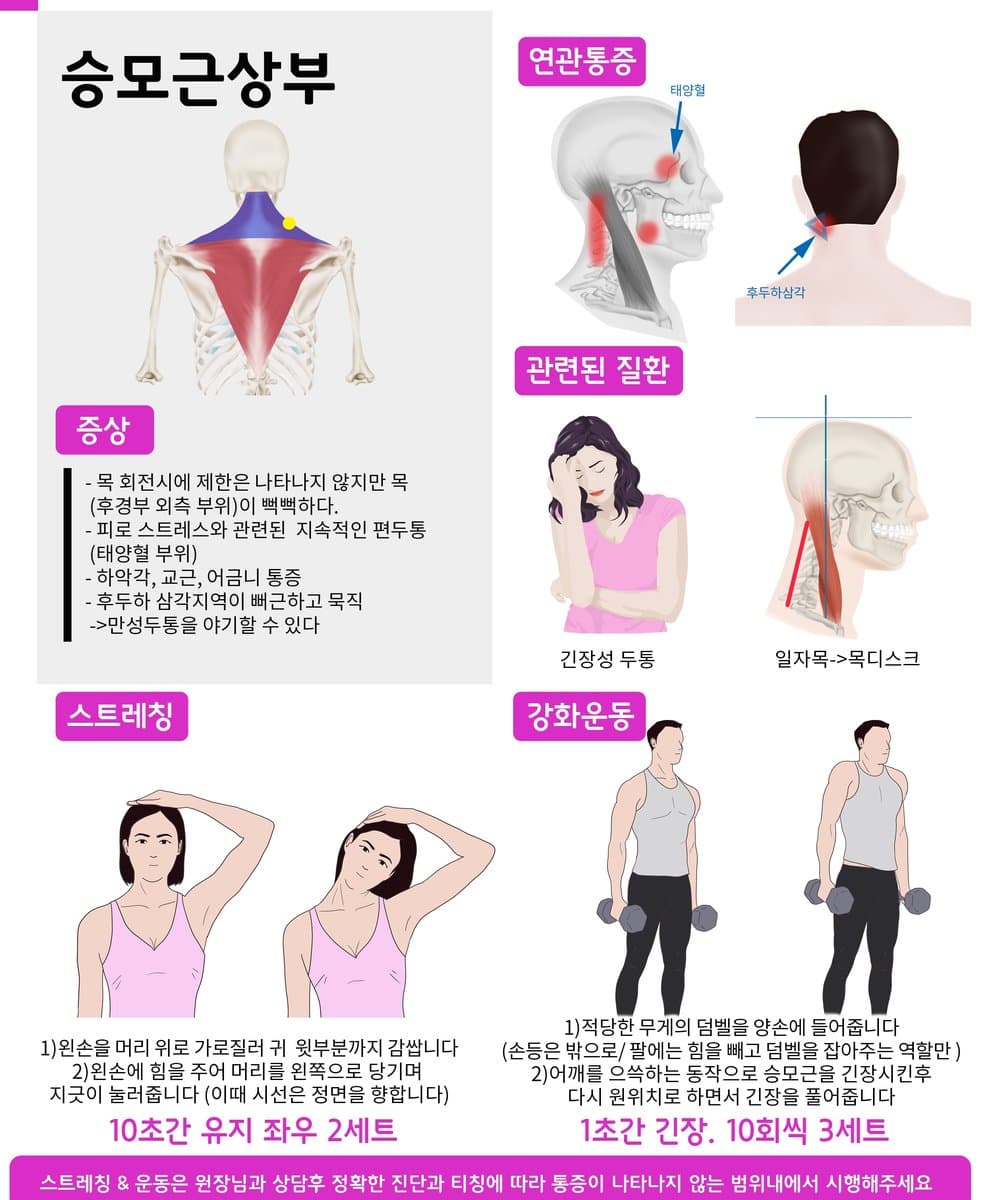 승모근 상부 위치와 관련 안내 자료