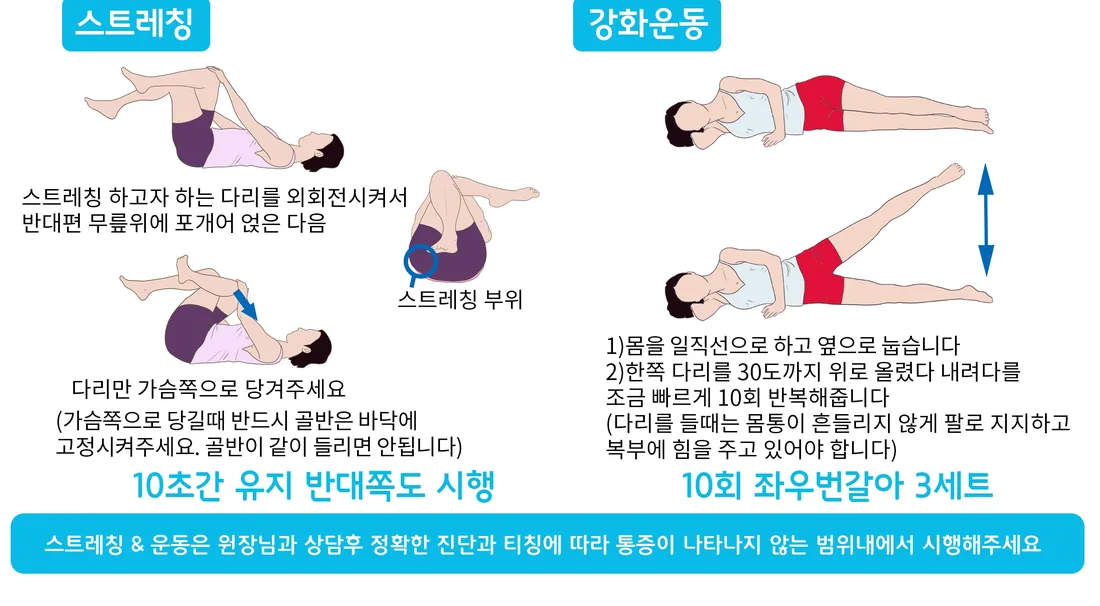 중둔근 주변 참고 운동 동작 예시 일반 안내 일러스트