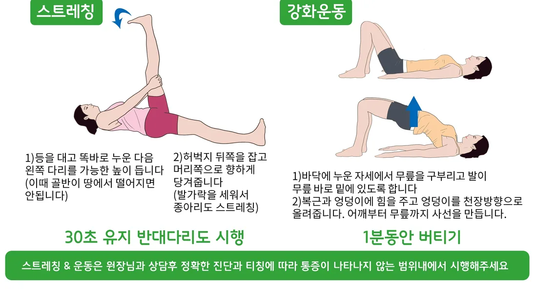 햄스트링 주변 참고 운동 동작 예시 일반 안내 일러스트