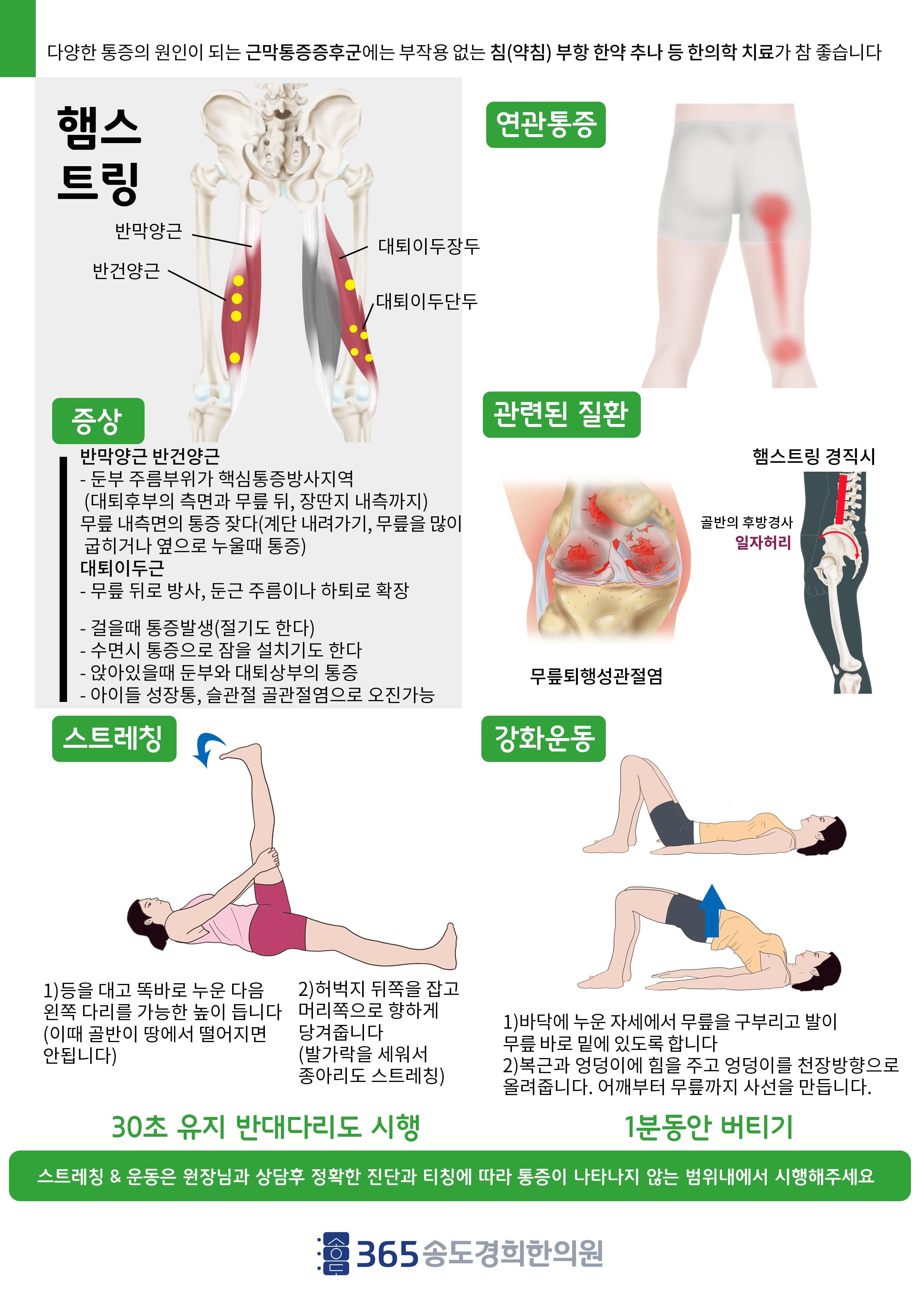 햄스트링 관련 안내 자료
