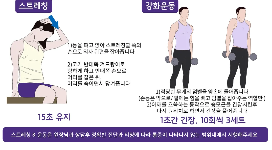 견갑거근 주변 참고 운동 동작 예시 일반 안내 일러스트