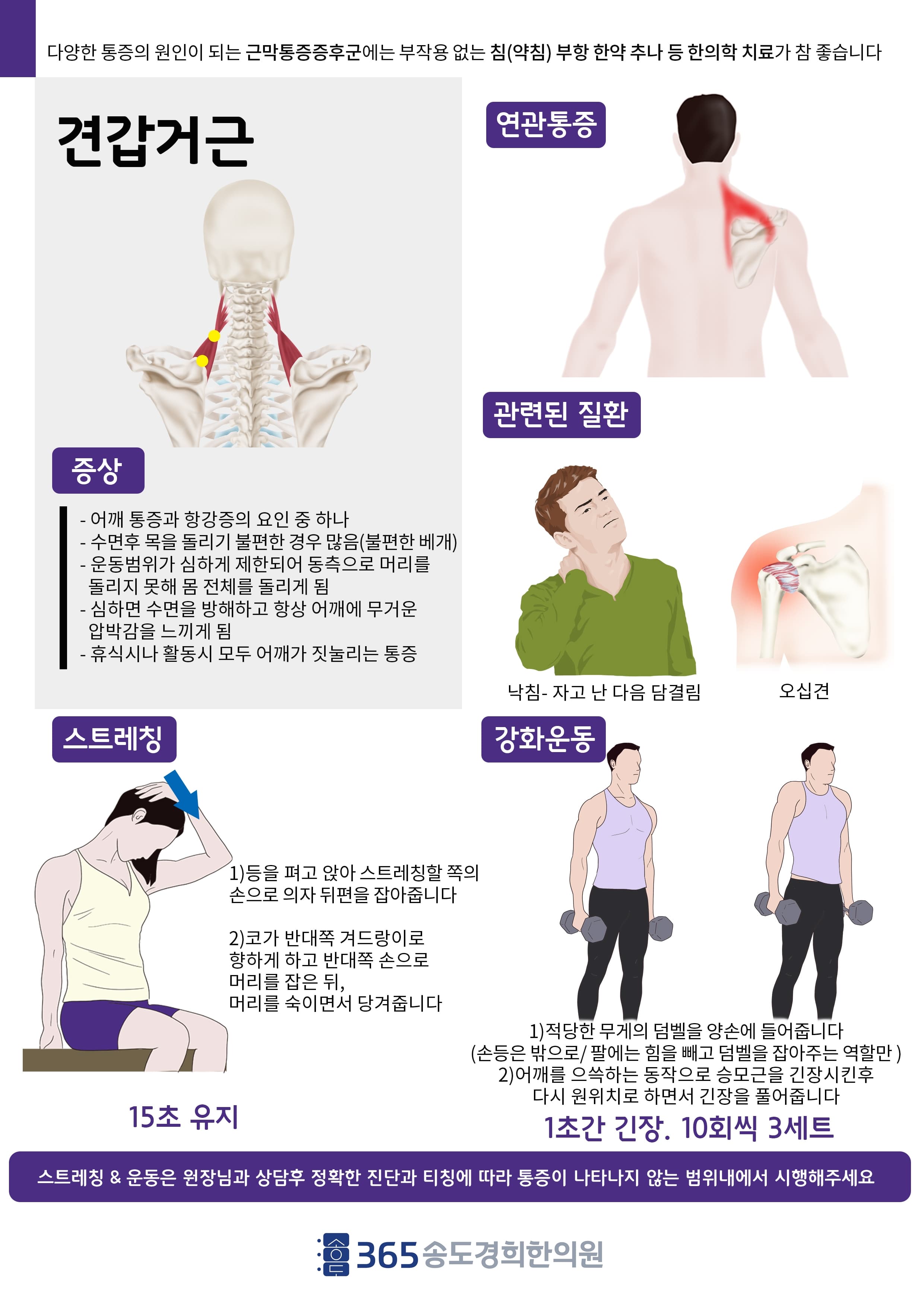 견갑거근 관련 안내 자료