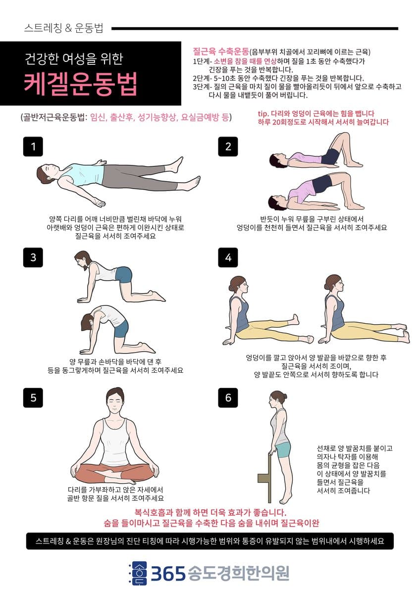 골반저근 케겔 운동 안내 자료
