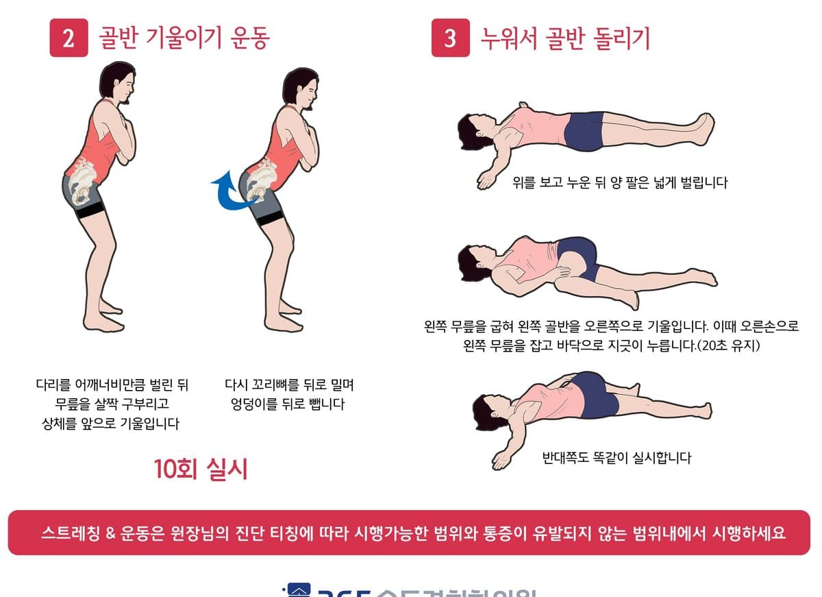 골반 균형 안내 자료