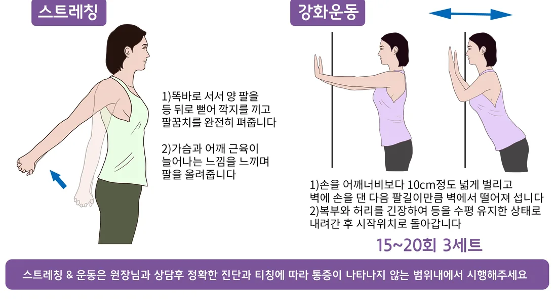 대흉근 주변 참고 운동 동작 예시 일반 안내 일러스트