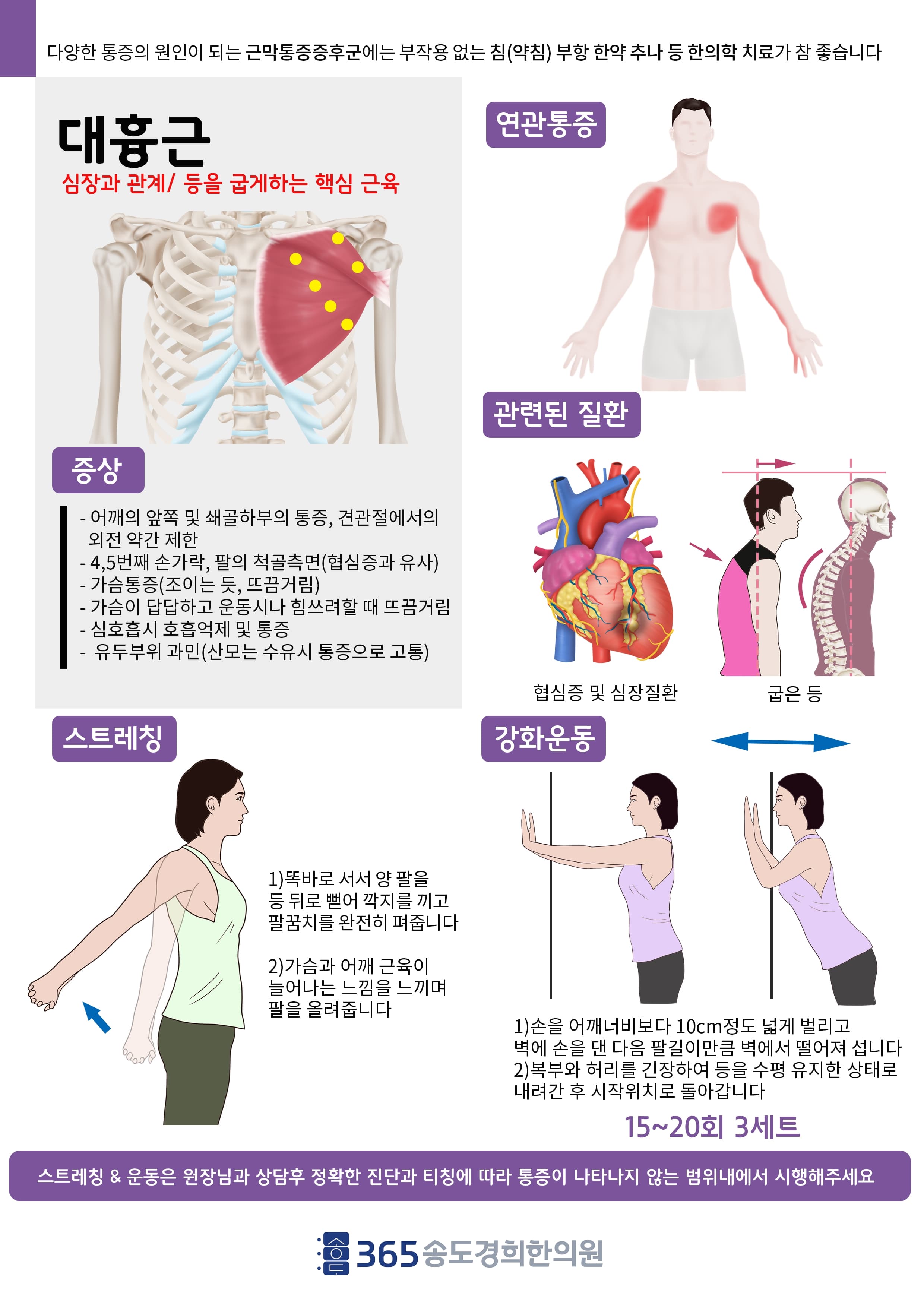 대흉근 관련 안내 자료