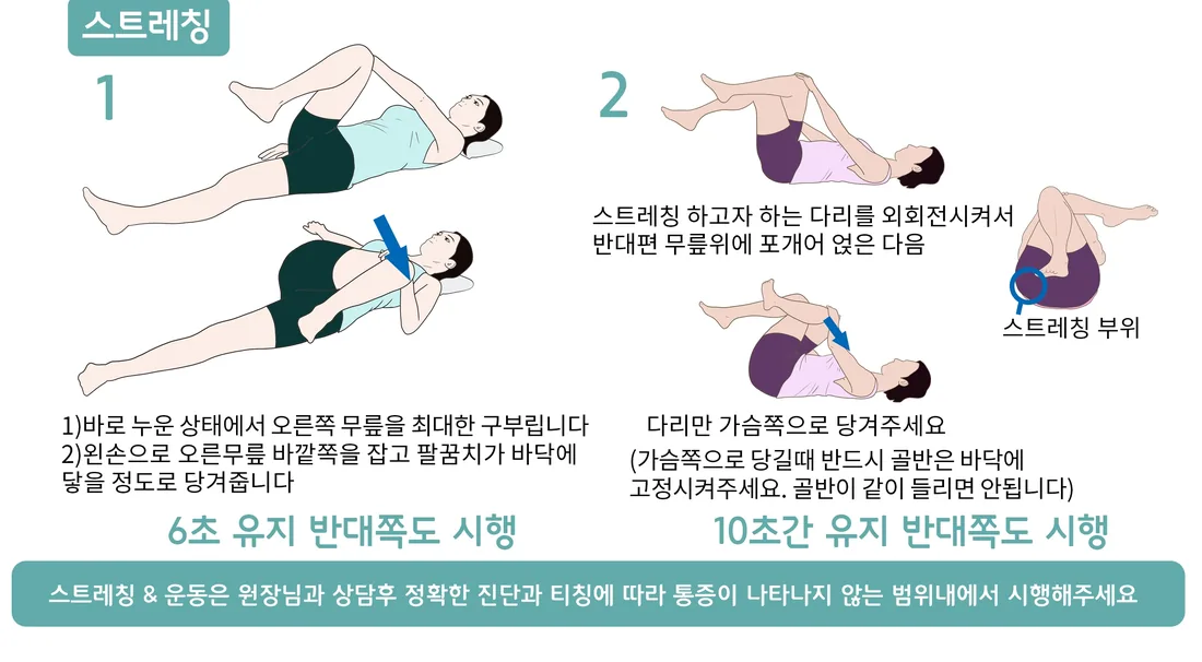 이상근 주변 참고 운동 동작 예시 일반 안내 일러스트