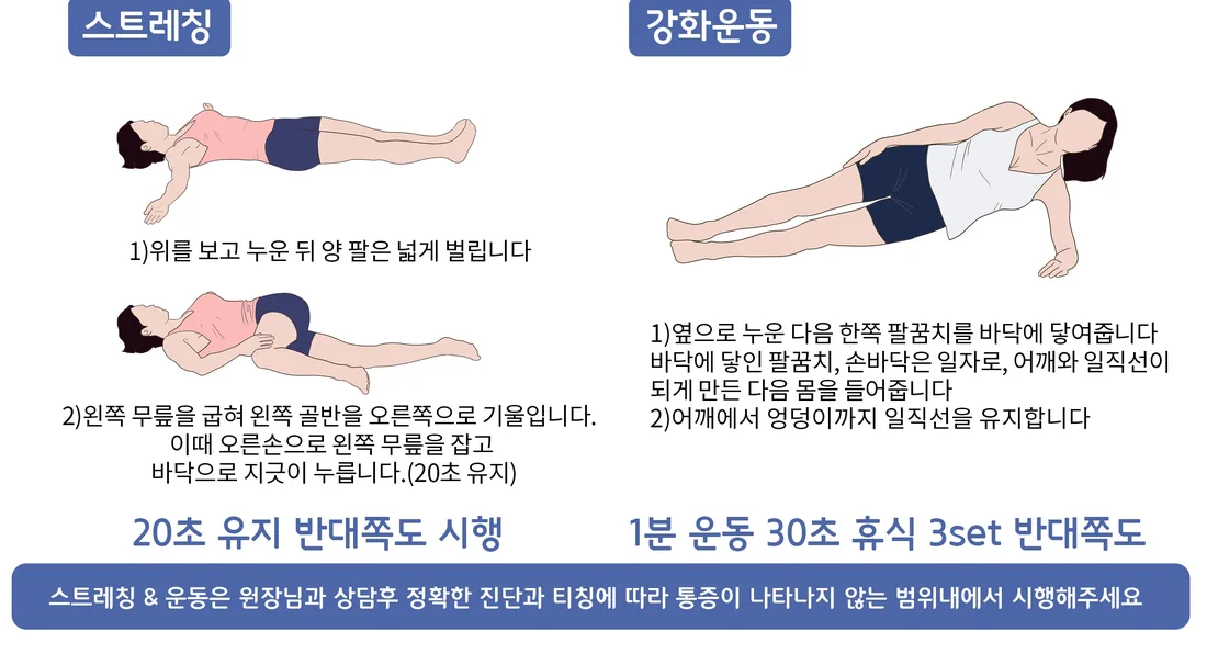 요방형근 주변 참고 운동 동작 예시 일반 안내 일러스트