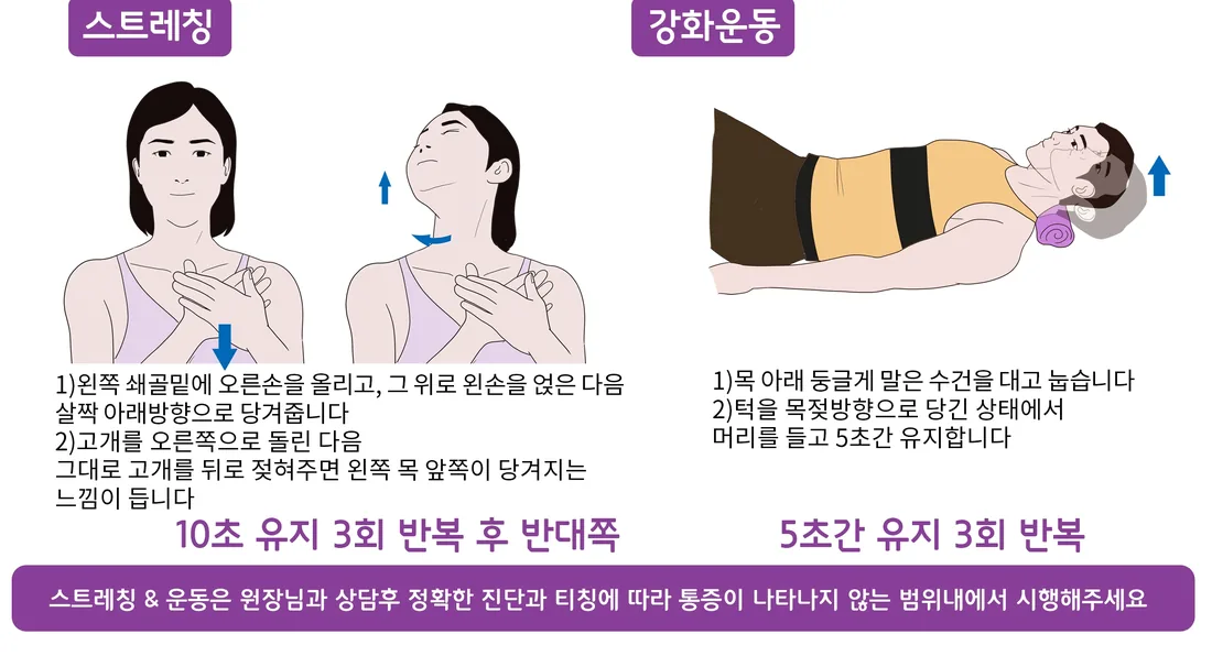 흉쇄유돌근 주변 참고 운동 동작 예시 일반 안내 일러스트