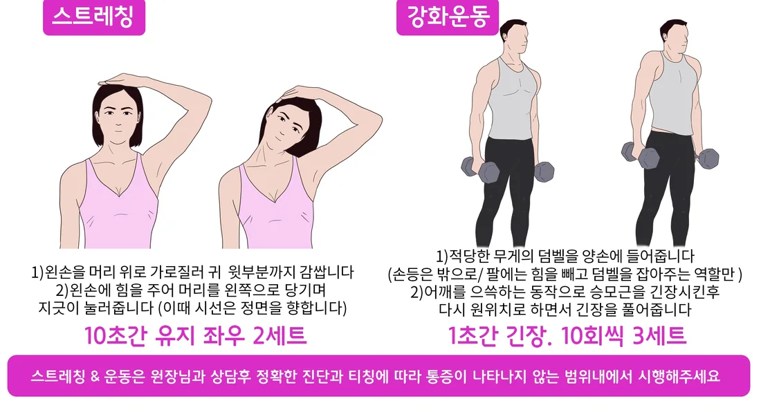 승모근 주변 참고 운동 동작 예시 일반 안내 일러스트
