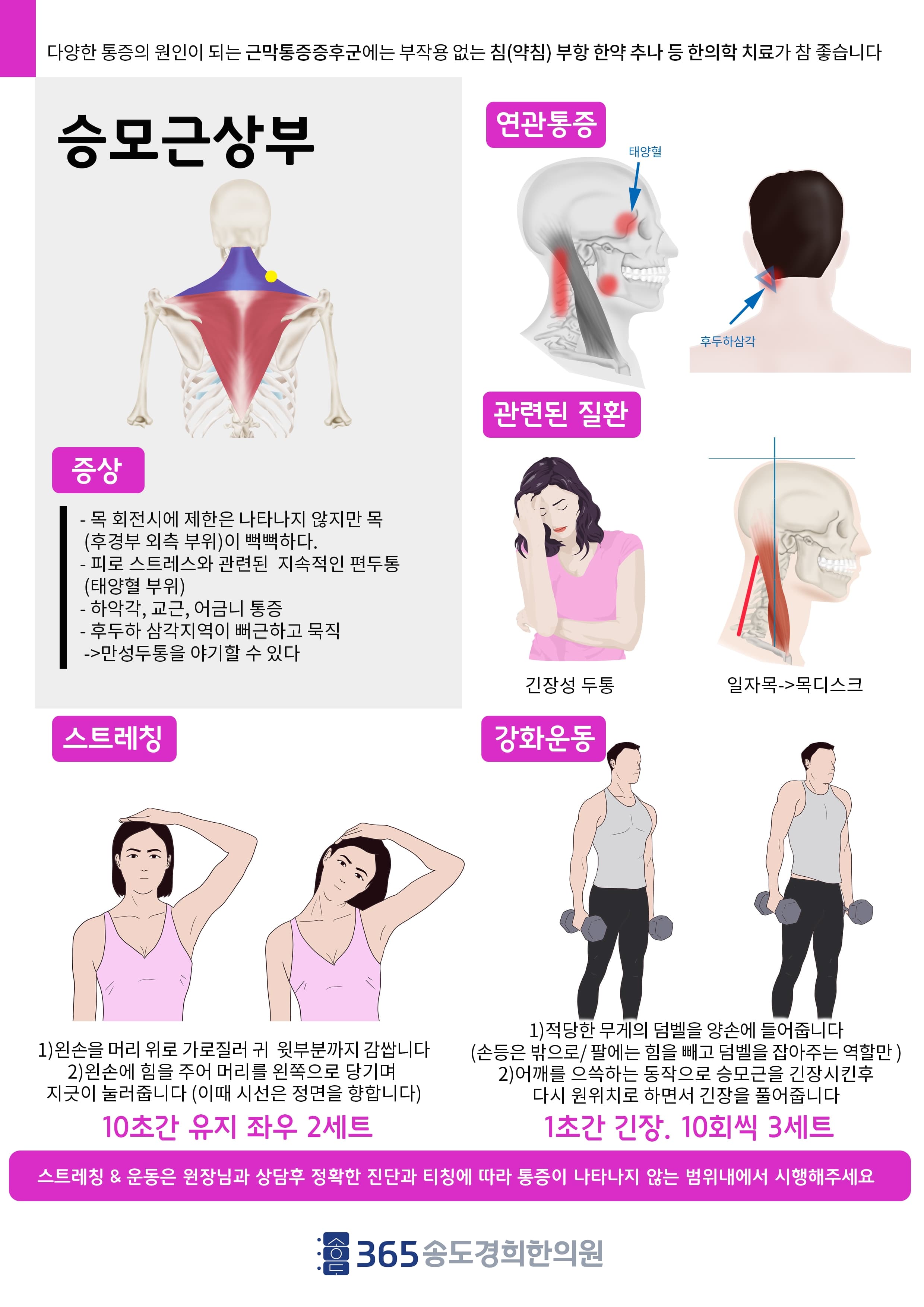 승모근 상부 관련 안내 자료