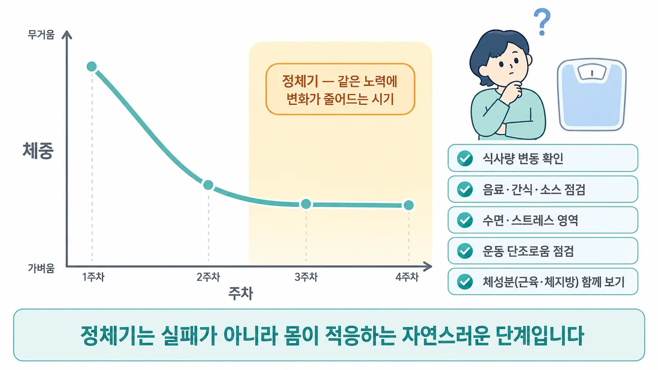다이어트 정체기 — 감량 그래프가 평평해지는 구간과 5가지 점검 포인트 안내