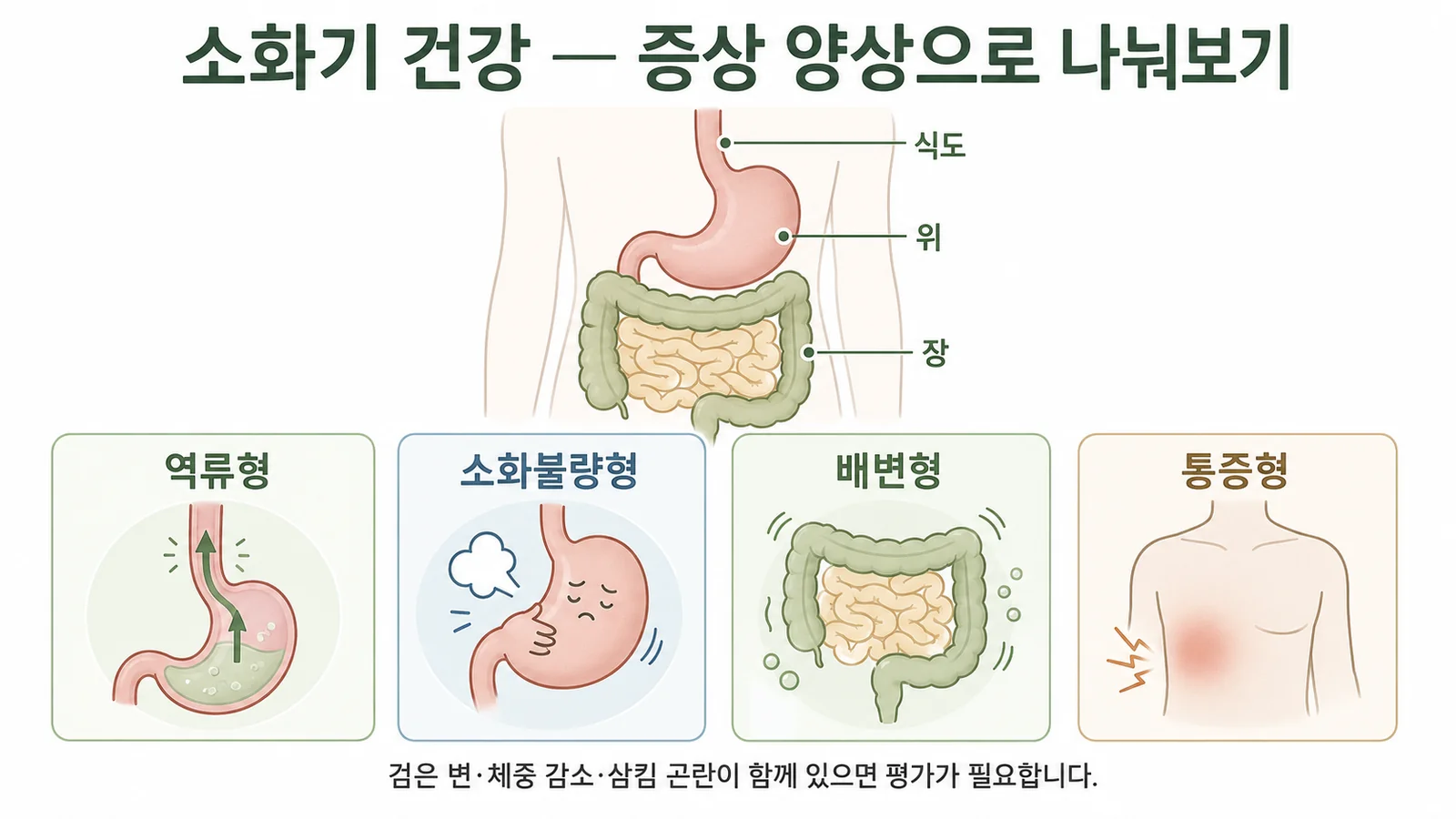 소화기 건강 — 안내 일러스트