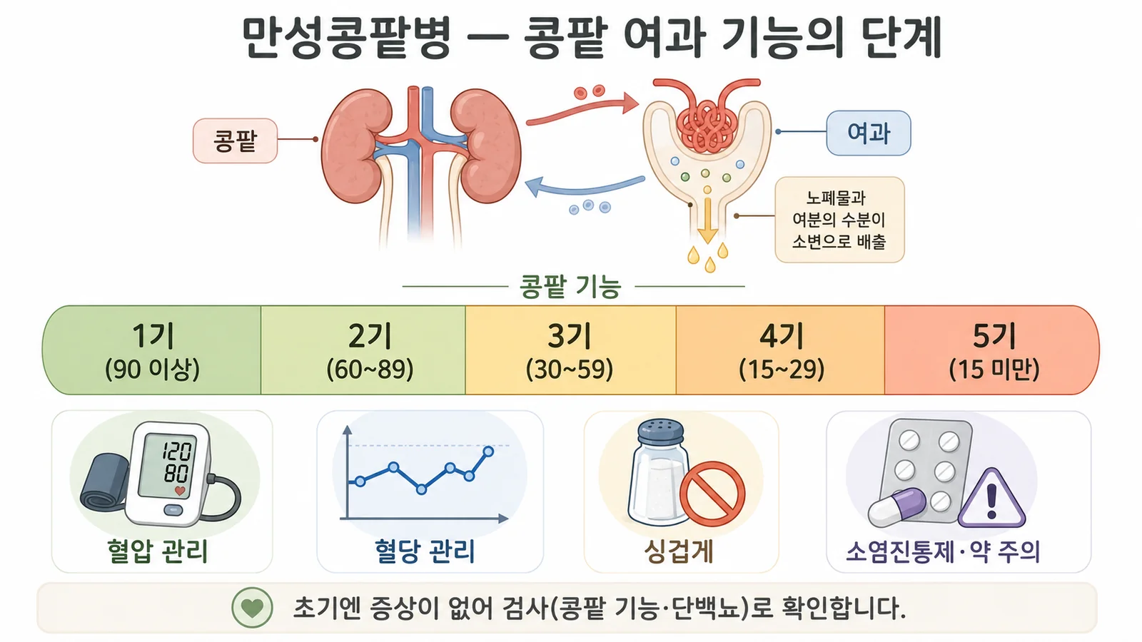 만성콩팥병 — 안내 일러스트
