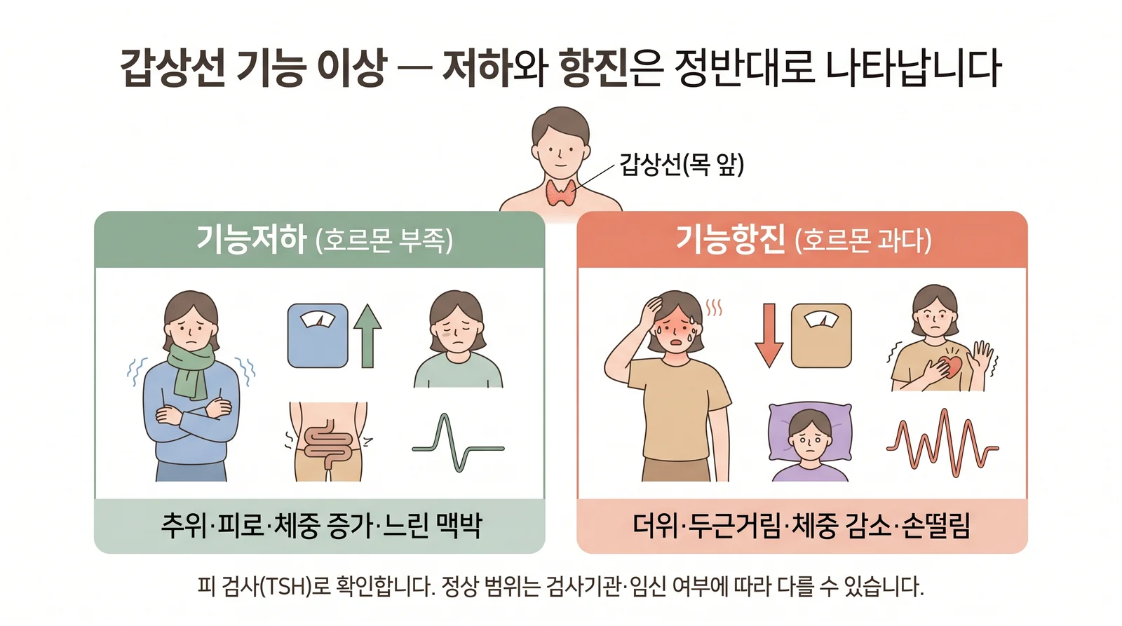 갑상선 기능 이상 — 안내 일러스트