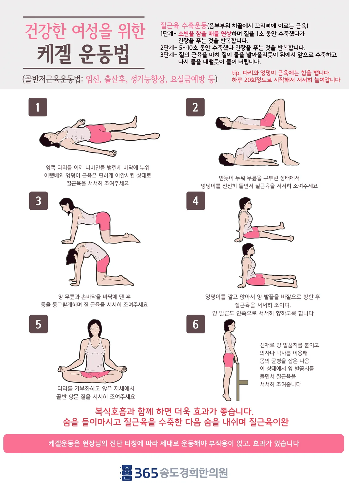 케겔 운동 안내지