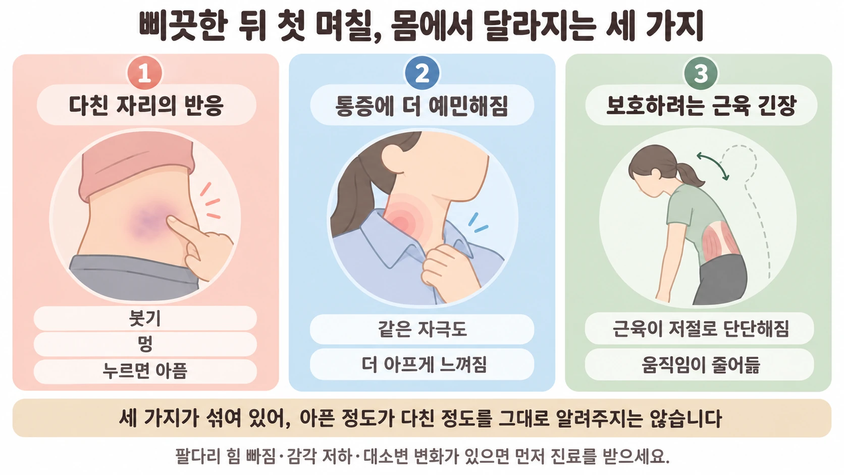 삐끗한 뒤 불편에 관여할 수 있는 다친 부위의 반응, 통증 민감도 변화, 보호성 근육 긴장을 설명한 도식