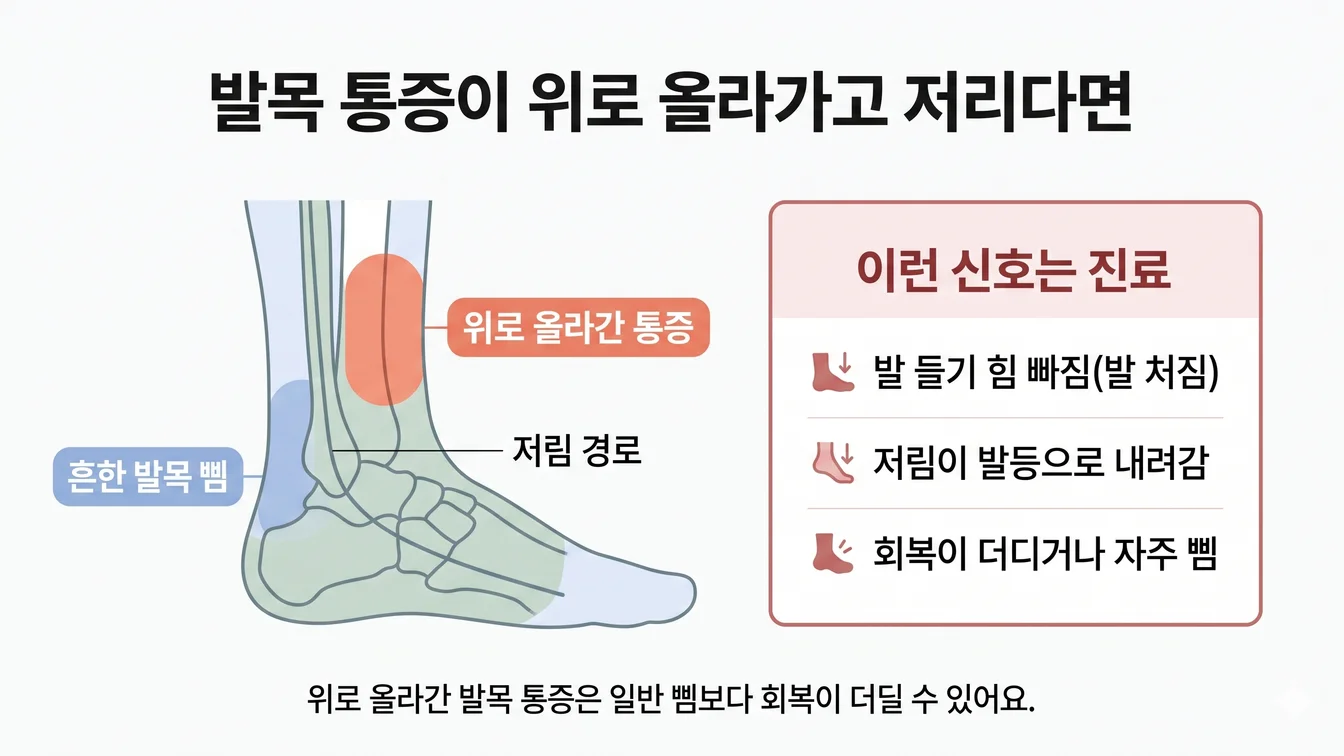 외측 발목 통증이 위로 올라간 고위 발목 염좌와 비골 신경 자극 안내