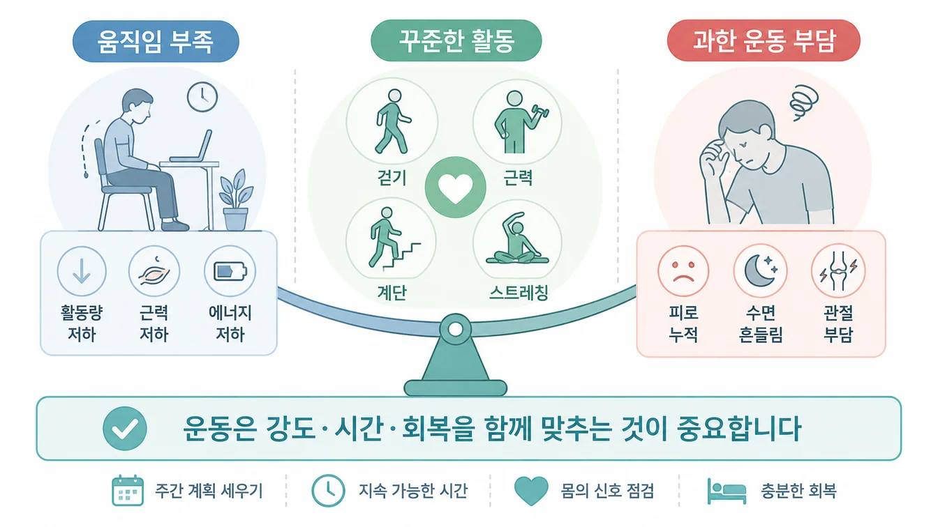 다이어트와 운동의 균형 — 움직임 부족·꾸준한 활동·과한 운동 부담 안내 일러스트