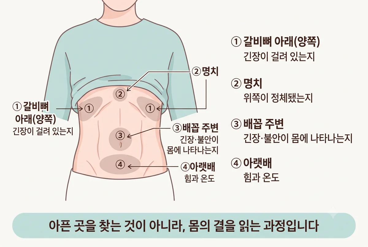 복진에서 살피는 네 구역(갈비뼈 아래·명치·배꼽 주변·아랫배)과 각 부위에서 확인하는 소견을 정리한 그림