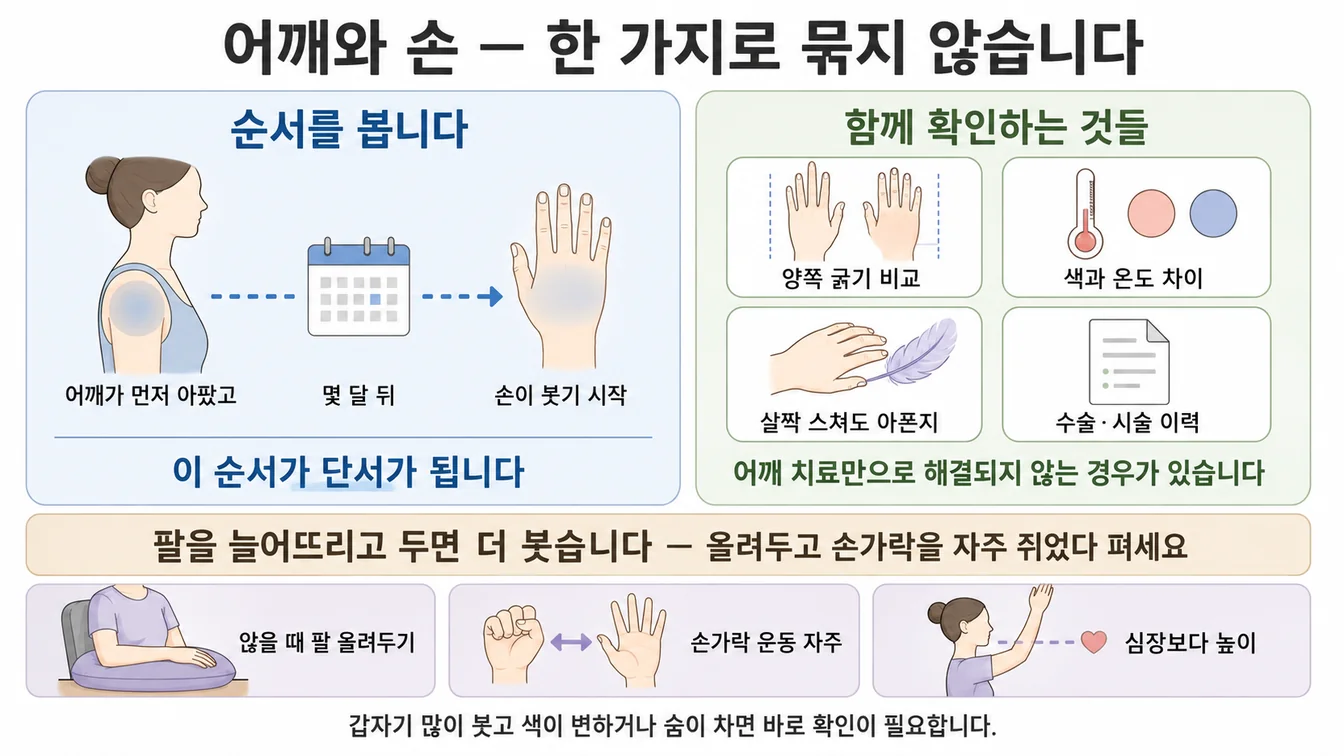 어깨가 먼저 아프고 몇 달 뒤 손이 붓기 시작한 순서를 보여주고, 양쪽 굵기 비교·색과 온도 차이·살짝 스쳐도 아픈지·수술 이력 등 함께 확인하는 항목과 팔을 올려두고 손가락을 자주 쥐었다 펴는 방법을 정리한 그림