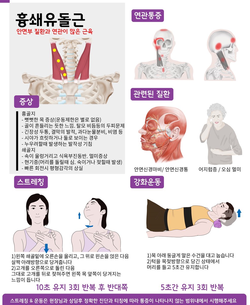 흉쇄유돌근 위치와 관련 안내 자료