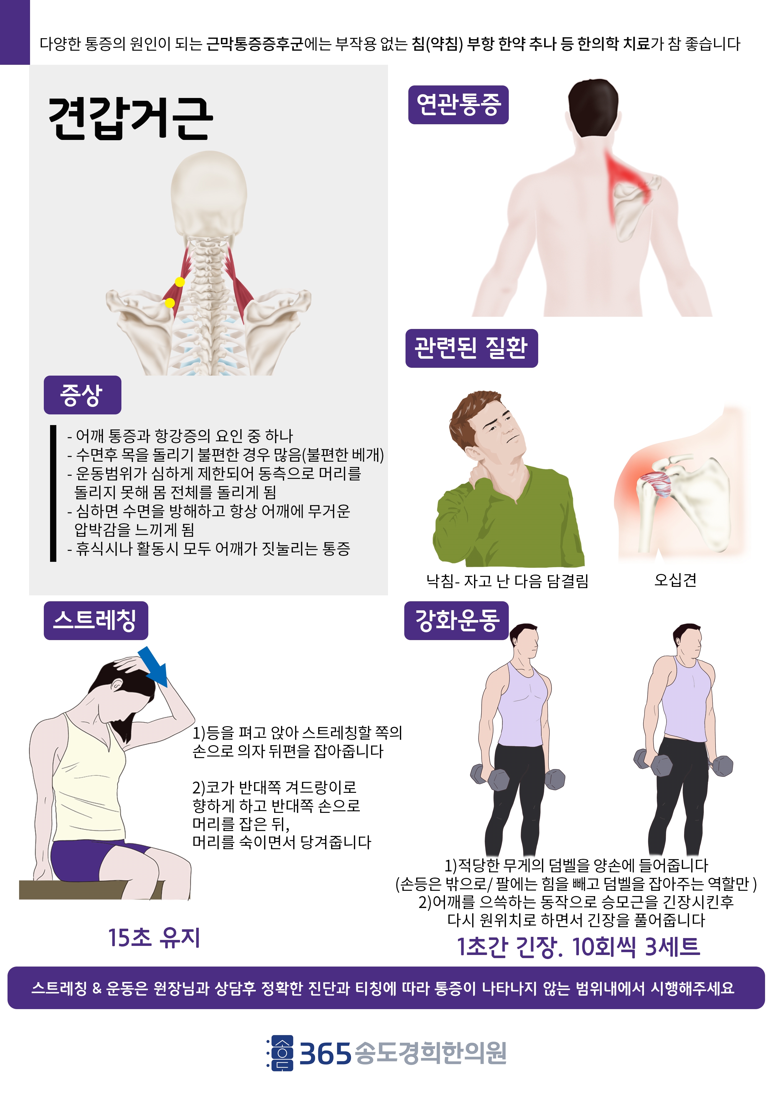 견갑거근 관련 안내 자료