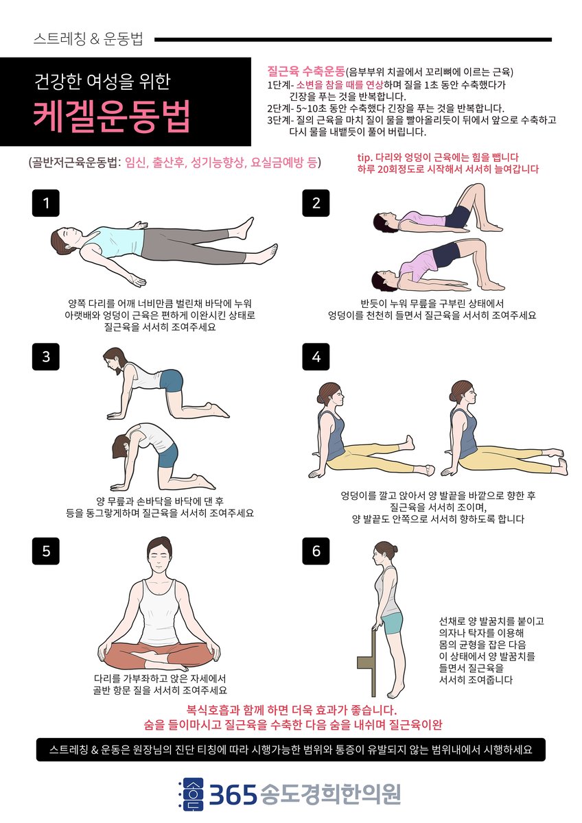 골반저근 케겔 운동 안내 자료