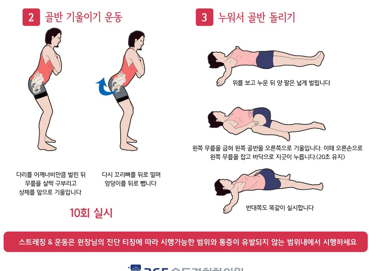골반 균형 안내 자료