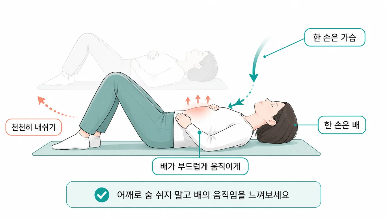 횡격막 호흡 (Diaphragmatic Breathing) 안내 일러스트