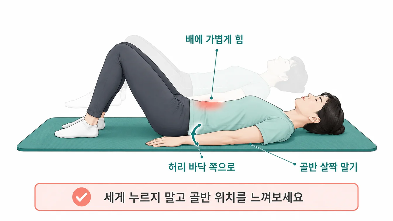 Pelvic Tilt 안내 일러스트