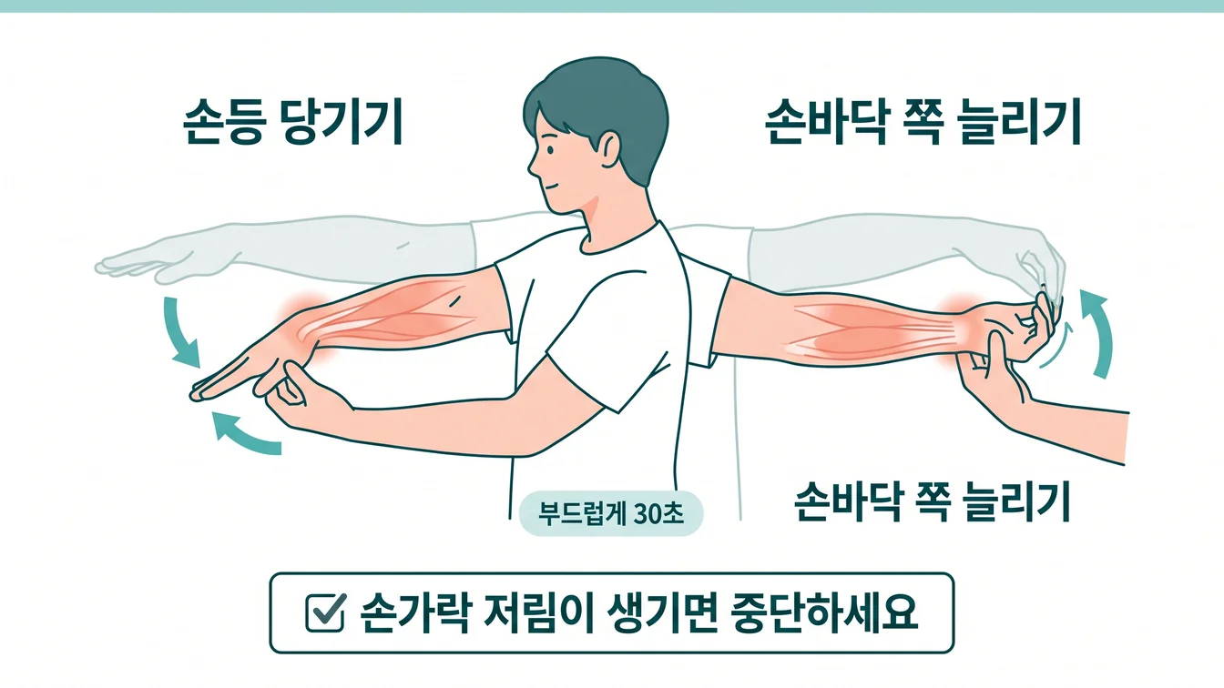 Wrist Flexor/Extensor Stretch 안내 일러스트